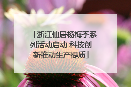浙江仙居杨梅季系列活动启动 科技创新推动生产提质
