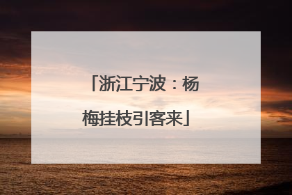 浙江宁波：杨梅挂枝引客来