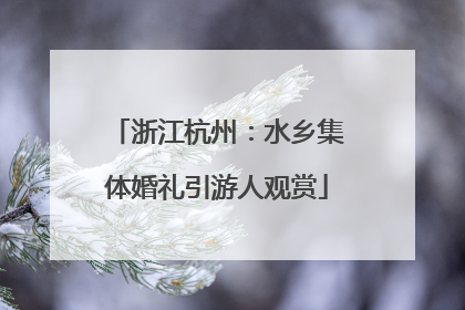 浙江杭州:水乡集体婚礼引游人观赏