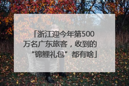 浙江迎今年第500万名广东旅客，收到的“锦鲤礼包”都有啥