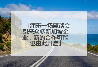 浦东一场座谈会引来众多新加坡企业，新的合作可能也由此开启