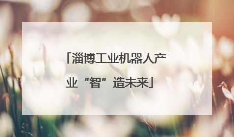 淄博工业机器人产业“智”造未来