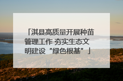 淇县高质量开展种苗管理工作 夯实生态文明建设“绿色根基”