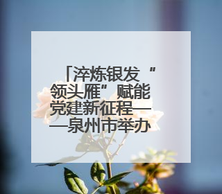 淬炼银发“领头雁”赋能党建新征程——泉州市举办离退休干部党支部书记能力建设专题培训