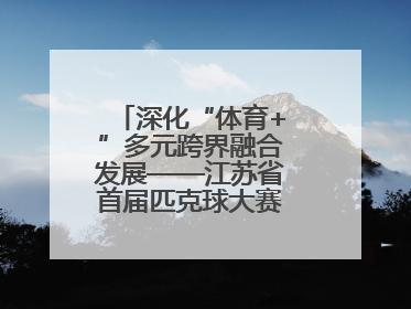 深化“体育+”多元跨界融合发展——江苏省首届匹克球大赛在无锡开赛