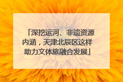 深挖运河、非遗资源内涵，天津北辰区这样助力文体旅融合发展
