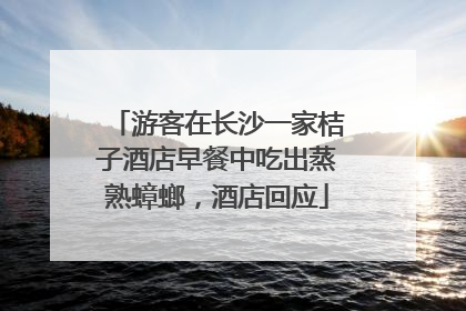 游客在长沙一家桔子酒店早餐中吃出蒸熟蟑螂，酒店回应