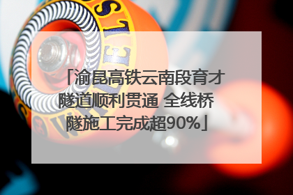 渝昆高铁云南段育才隧道顺利贯通 全线桥隧施工完成超90%