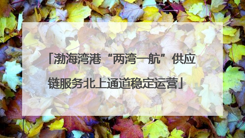 渤海湾港“两湾一航”供应链服务北上通道稳定运营