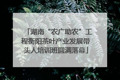 湖南“农广助农”工程衡阳茶叶产业发展带头人培训班圆满落幕