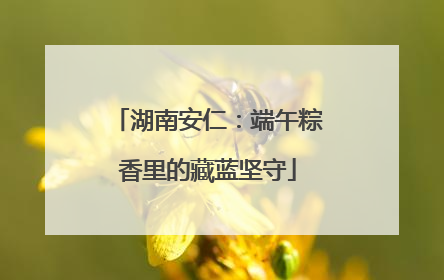 湖南安仁：端午粽香里的藏蓝坚守