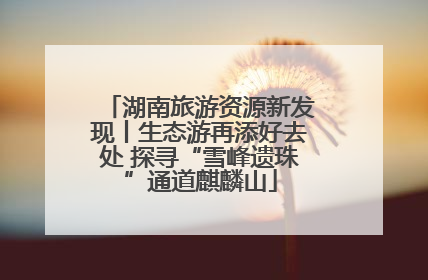湖南旅游资源新发现丨生态游再添好去处 探寻“雪峰遗珠”通道麒麟山