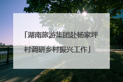 湖南旅游集团赴杨家坪村调研乡村振兴工作
