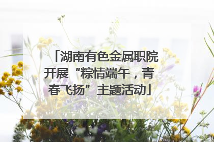 湖南有色金属职院开展“粽情端午，青春飞扬”主题活动