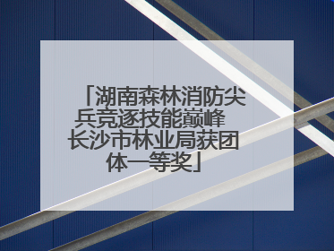 湖南森林消防尖兵竞逐技能巅峰 长沙市林业局获团体一等奖