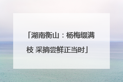 湖南衡山：杨梅缀满枝 采摘尝鲜正当时