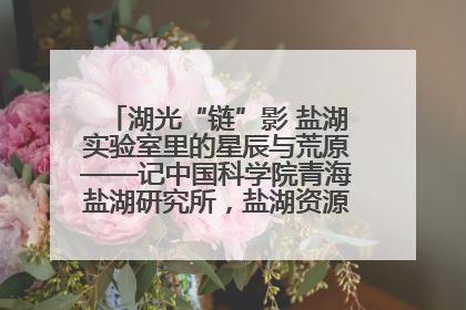 湖光“链”影 盐湖实验室里的星辰与荒原——记中国科学院青海盐湖研究所，盐湖资源化学实验室党总支书记、副主任刘忠