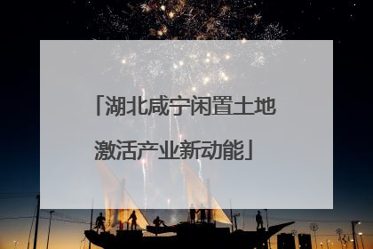 湖北咸宁闲置土地激活产业新动能