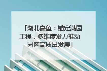 湖北嘉鱼：锚定满园工程，多维度发力推动园区高质量发展