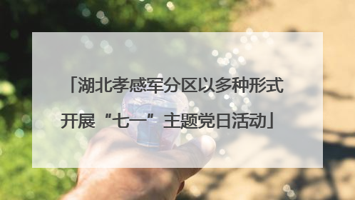 湖北孝感军分区以多种形式开展“七一”主题党日活动