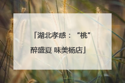湖北孝感：“桃”醉盛夏 味美杨店