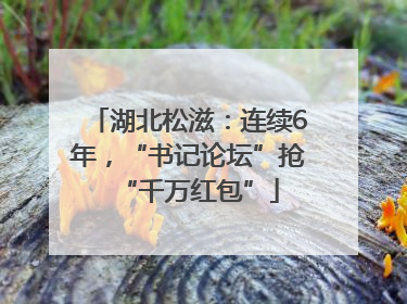湖北松滋：连续6年，“书记论坛”抢“千万红包”