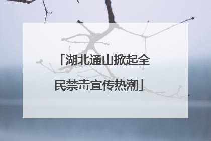 湖北通山掀起全民禁毒宣传热潮