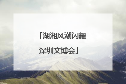 湖湘风潮闪耀深圳文博会