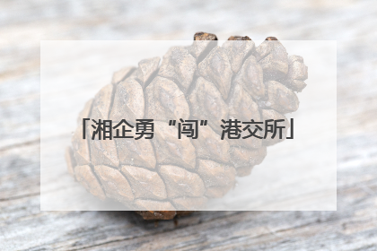 湘企勇“闯”港交所
