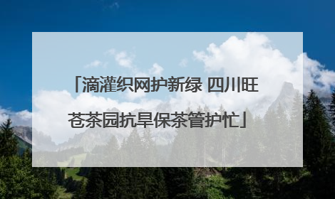 滴灌织网护新绿 四川旺苍茶园抗旱保茶管护忙