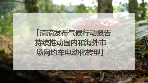 滴滴发布气候行动报告 持续推动国内和海外市场网约车电动化转型