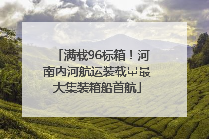 满载96标箱！河南内河航运装载量最大集装箱船首航