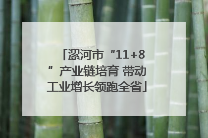 漯河市“11+8”产业链培育 带动工业增长领跑全省