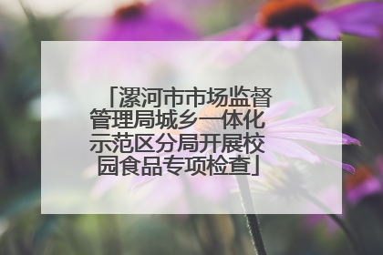 漯河市市场监督管理局城乡一体化示范区分局开展校园食品专项检查