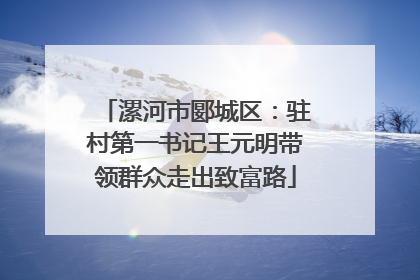 漯河市郾城区：驻村第一书记王元明带领群众走出致富路