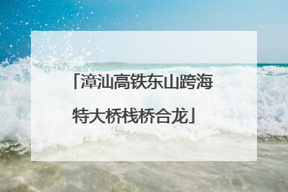 漳汕高铁东山跨海特大桥栈桥合龙