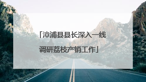 漳浦县县长深入一线调研荔枝产销工作