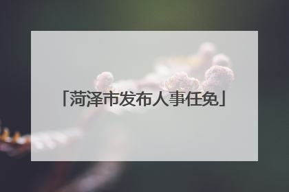 菏泽市发布人事任免