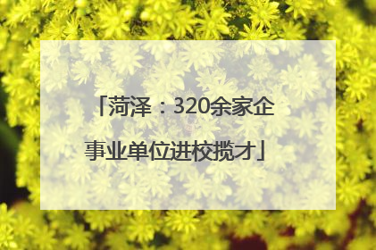 菏泽：320余家企事业单位进校揽才