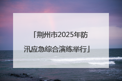 荆州市2025年防汛应急综合演练举行