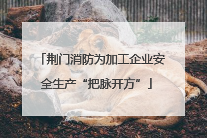 荆门消防为加工企业安全生产“把脉开方”