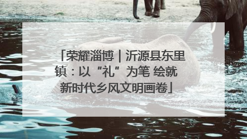 荣耀淄博｜沂源县东里镇：以“礼”为笔 绘就新时代乡风文明画卷