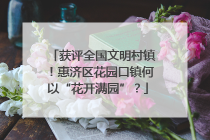获评全国文明村镇！惠济区花园口镇何以“花开满园”？
