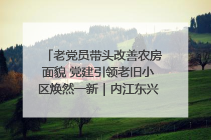 老党员带头改善农房面貌 党建引领老旧小区焕然一新｜内江东兴“红”在哪？④