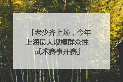 老少齐上场，今年上海最大规模群众性武术赛事开赛