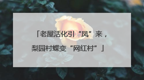 老屋活化引“凤”来，梨园村蝶变“网红村”