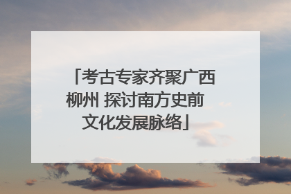 考古专家齐聚广西柳州 探讨南方史前文化发展脉络