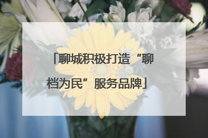 聊城积极打造“聊档为民”服务品牌