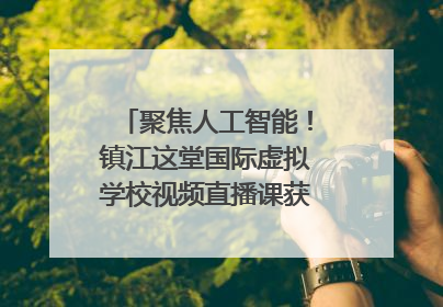 聚焦人工智能！镇江这堂国际虚拟学校视频直播课获韩美伙伴点赞
