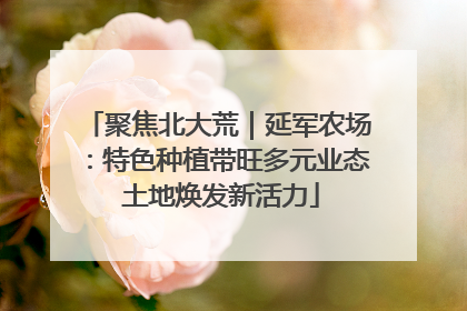 聚焦北大荒｜延军农场：特色种植带旺多元业态 土地焕发新活力